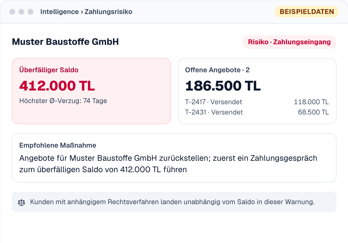 PULS-Bildschirm: Zahlungsrisiko, mit Beispieldaten